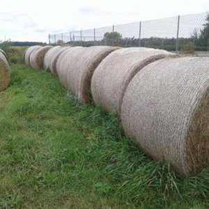 Grosses-balles-de-foin-premiere-coupe-et-deuxieme-coupe-a-vendre